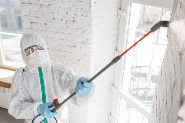 Best Forensic Mold Investigation  in Monona, IA