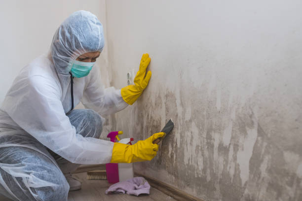 Best Airborne Mold Testing  in Monona, IA