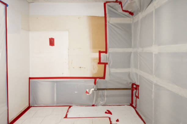 Best Post-Remediation Verification Testing  in Monona, IA