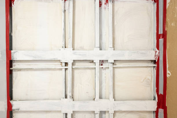 Professional Mold Removal in Monona, IA