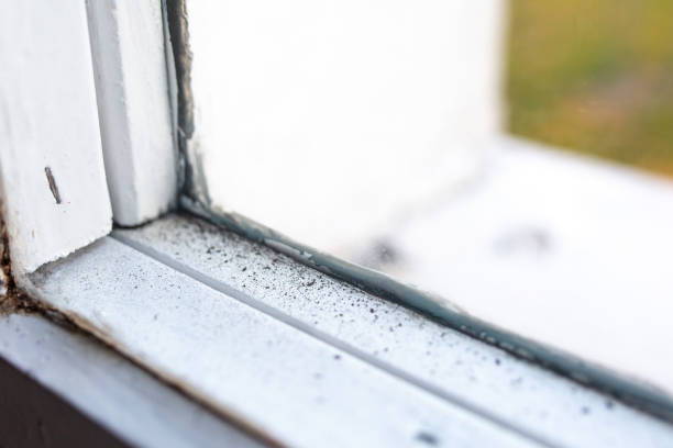 Best HVAC Mold Inspection and Cleaning  in Monona, IA