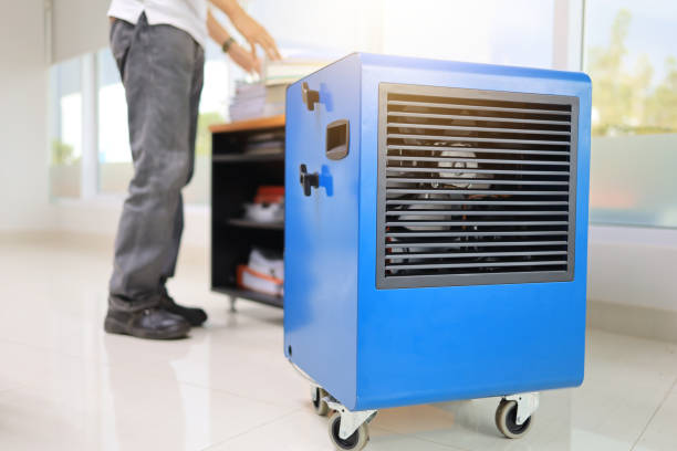 Best Basement Mold Removal  in Monona, IA