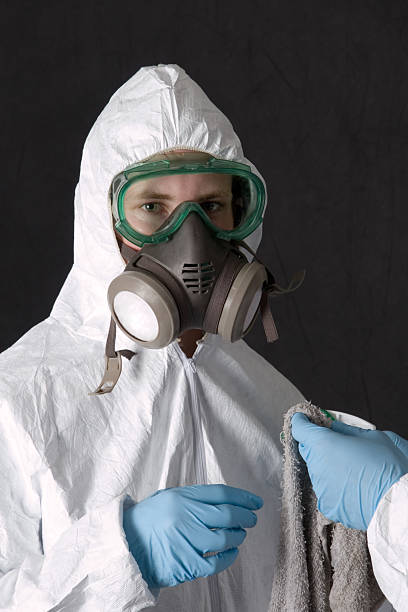 Best Mold Damage Restoration  in Monona, IA